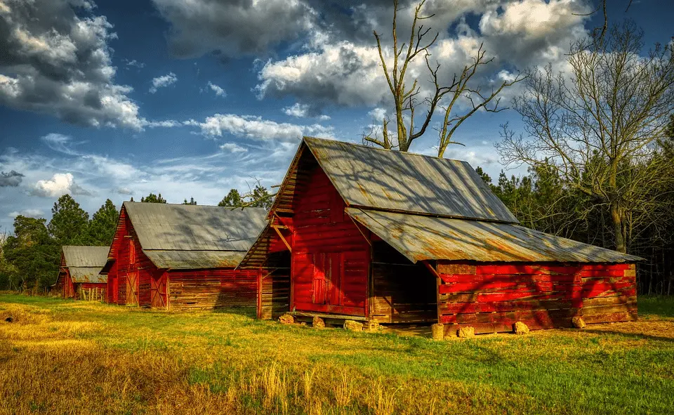 Georgia