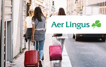 Aer lingus baggage shop dimensions