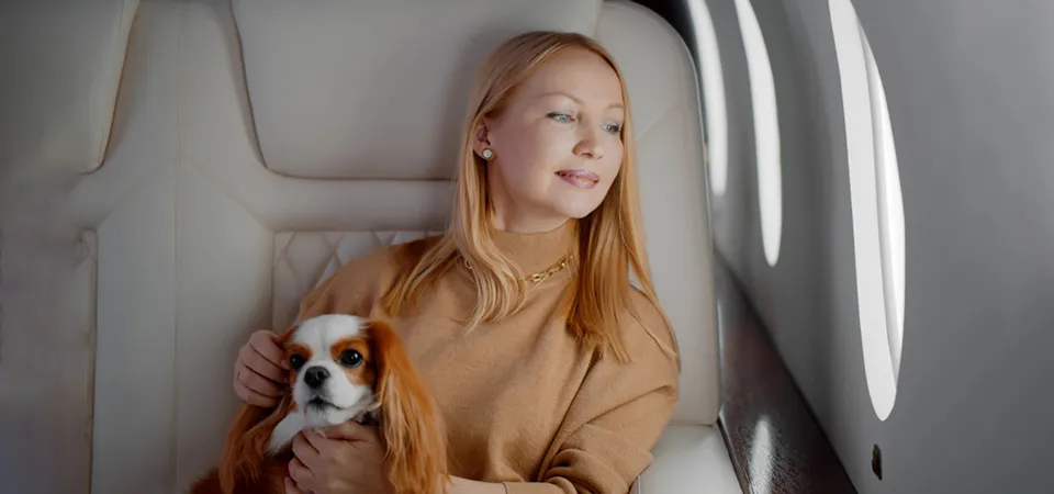 Travelling with Pets on Ethiopian Airlines