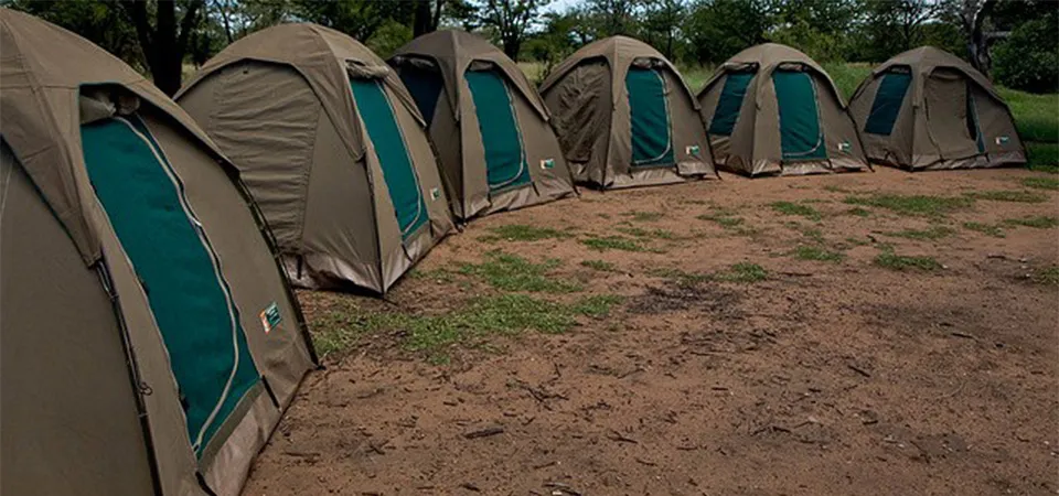 Camping Gear
