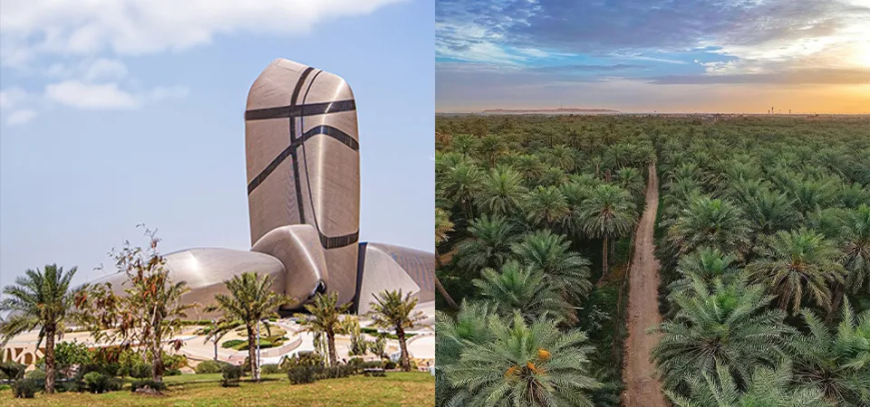 King Abdul Aziz Center & Al Ahsa Oasis in June