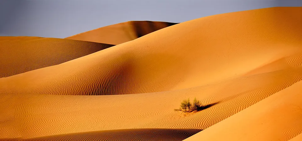 Empty Quarter (Rub' al Khali)