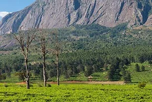 Lilongwe