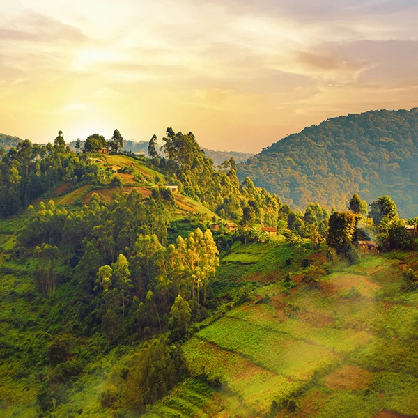 Congo