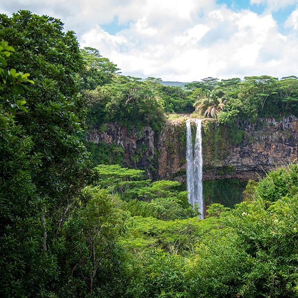 Cameroon