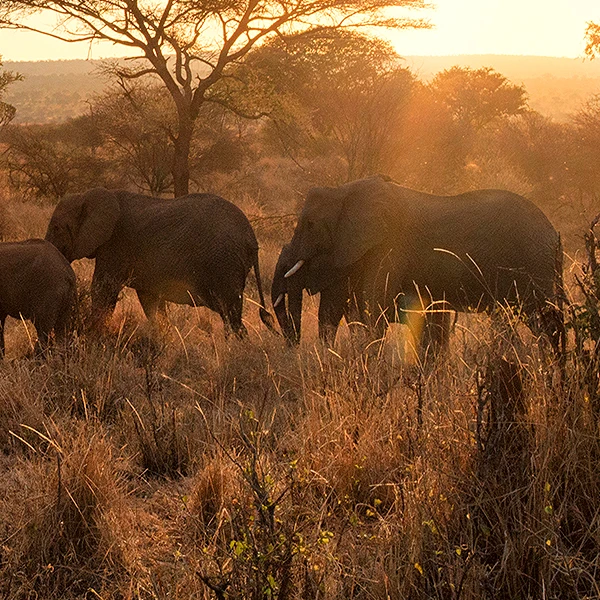 Tanzania